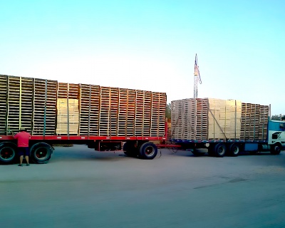 Pallet para Cajas, Medidas 1016 x 1220.