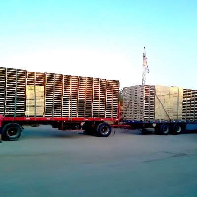 Pallet para Cajas, Medidas 1016 x 1220.